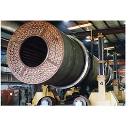 Rotary Dryers