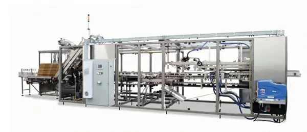 Continuous Motion Case Packer