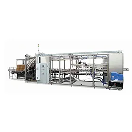 Continuous Motion Case Packer