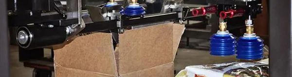 Top Load Case Packer