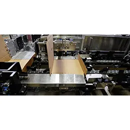 Wrap Around Case Packer