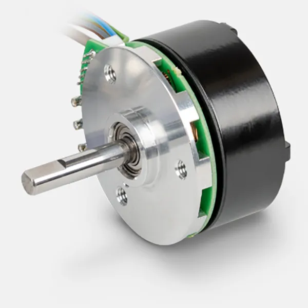 brushless ECX FLAT motor series