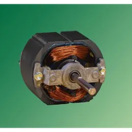 Shaded Two-Pole Motors