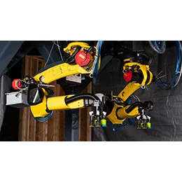 Dual robot each picking from totes