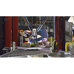 Robotic singulation and induction RSAI