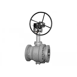 Cryogenic Valves