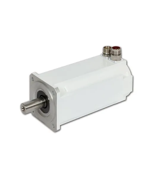 Kollmorgen-AKM Wasdown Motor