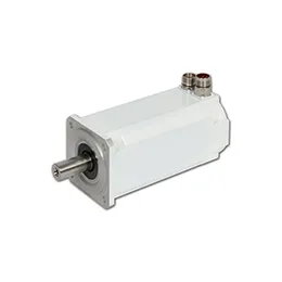 Kollmorgen-AKM Wasdown Motor