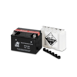 Sealed MTX series AGM batteries
