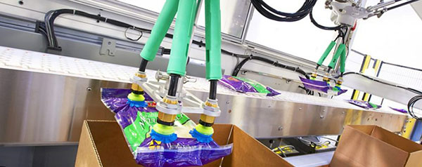 Robotic Picking and Packaging Systems