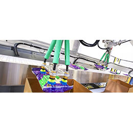 Robotic Picking and Packaging Systems