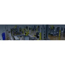 Standard Robotic Palletizers