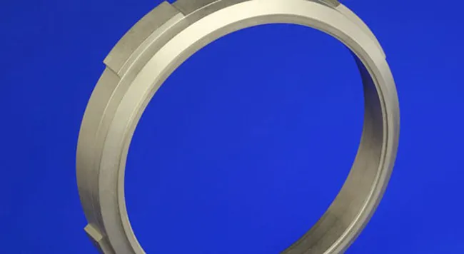 Carbon and Graphite Radial Seals