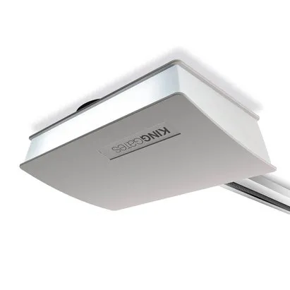 Roof garage door motors