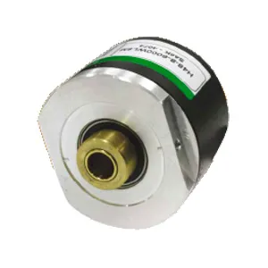 Incremental Encoder Hollow Shaft Type H48 Series