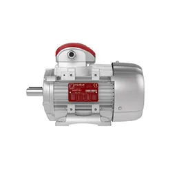 DELFIRE THREE-PHASE MOTORS