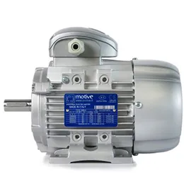 DELPHI THREE-PHASE MOTORS 56-132