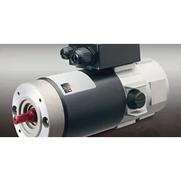 ESA BRUSH DC
