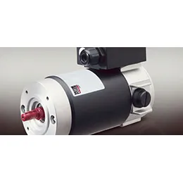PENTA BRUSH DC