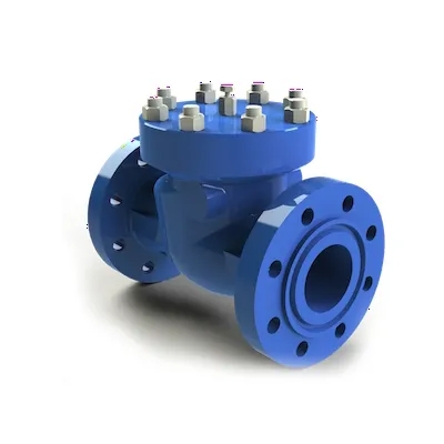 Swing Check Valves
