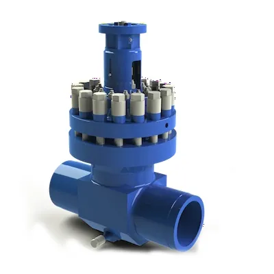 Valves for Nuclear Power Plants