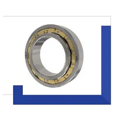 Double Row Deep Groove Ball Bearings