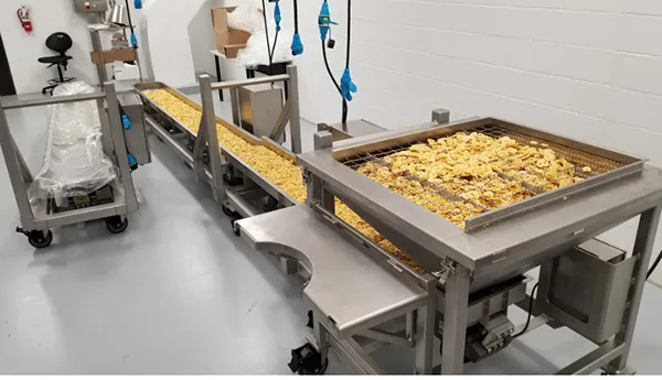Turnkey Sanitary Conveyor Systems