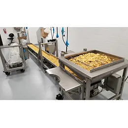 Turnkey Sanitary Conveyor Systems
