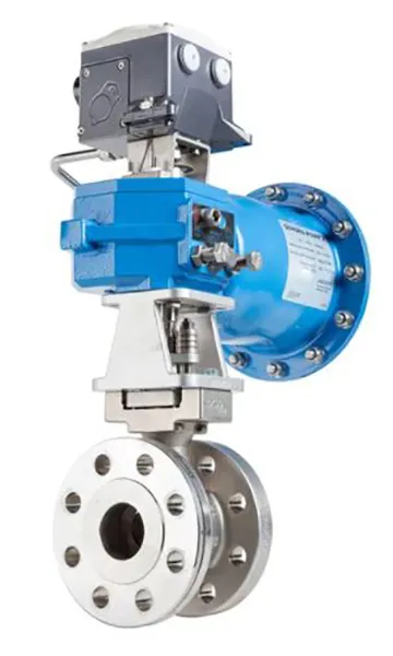 Eccentric rotary plug valves
