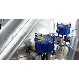 Globe valves