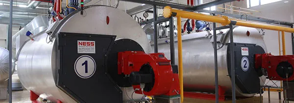 Steam systems-hot water systems