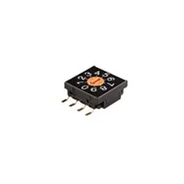 FR01-Series 10mm DIP Rotary Switches
