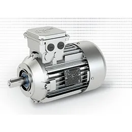Standard motors