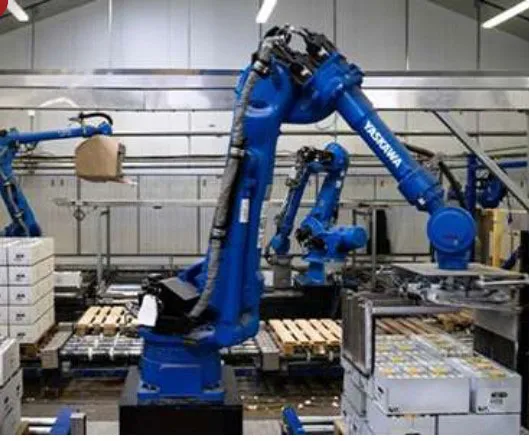 Professional robot solutions