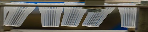 Filling Machines