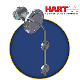 DT301 4 to 20 mA + Hart Density Transmitter