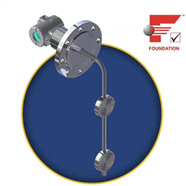 DT302 Foundation Fieldbus Density Transmitter