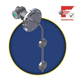 DT302 Foundation Fieldbus Density Transmitter