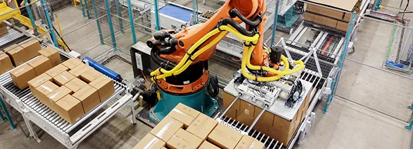 ROBOTIC DEPALLETIZER