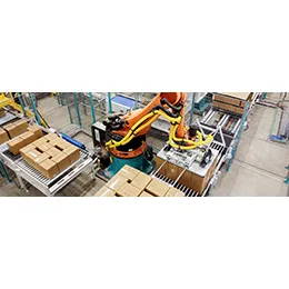ROBOTIC DEPALLETIZER