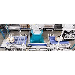 ROBOTIC DESTACKER & RESTACKER