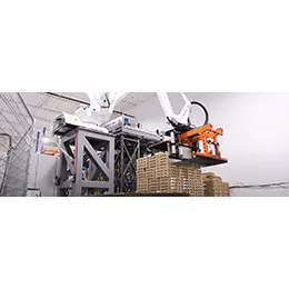 ROBOTIC PALLETIZER