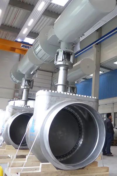 Small and Large Valves