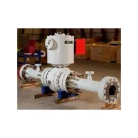 Subsea Valves