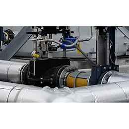 Check Valve Series DBCP