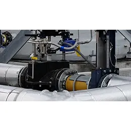 Series DBS CHECK VALVES