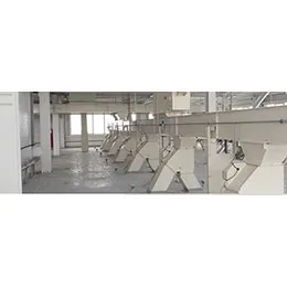 Chain conveyors