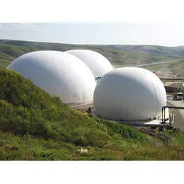 Biosolids Wastewater Management
