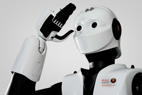 Humanoid Service Robots - REEM-C 06