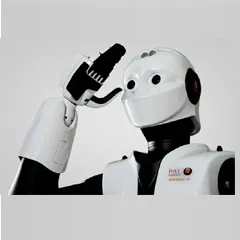 Humanoid Service Robots - REEM-C 06